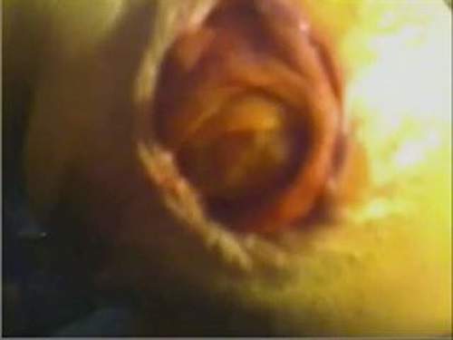 Sexy webcam wife giant prolapse anus stretching closeup