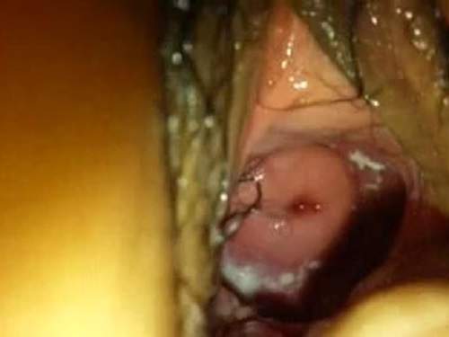 Dildo and tv remote penetrated into gaping hairy pussy