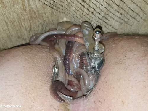 maggots in ass,male anal,speculum anal,speculum anal examination,anal porn,male anal xxx,stretching asshole,ruined anus,maggot fetish,maggot porn